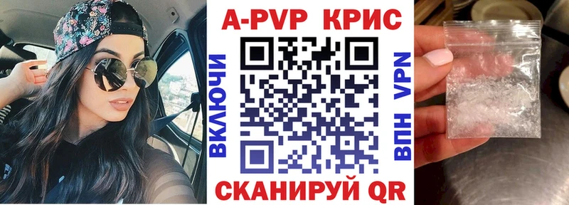 Альфа ПВП СК КРИС  блэк спрут как зайти  Галич 