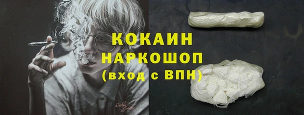 эйфоретик Майский