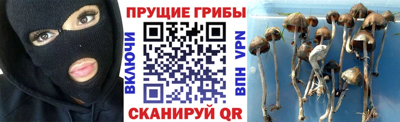 купить закладку  Галич  Галлюциногенные грибы мухоморы 